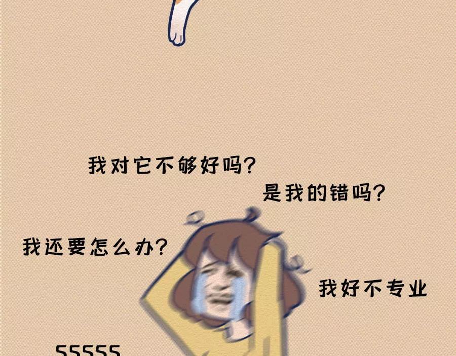 第17话：我们为什么沉迷撸猫？(1/2)-第17话