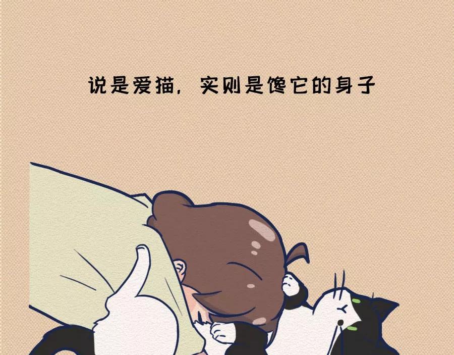第17话：我们为什么沉迷撸猫？(1/2)-第17话