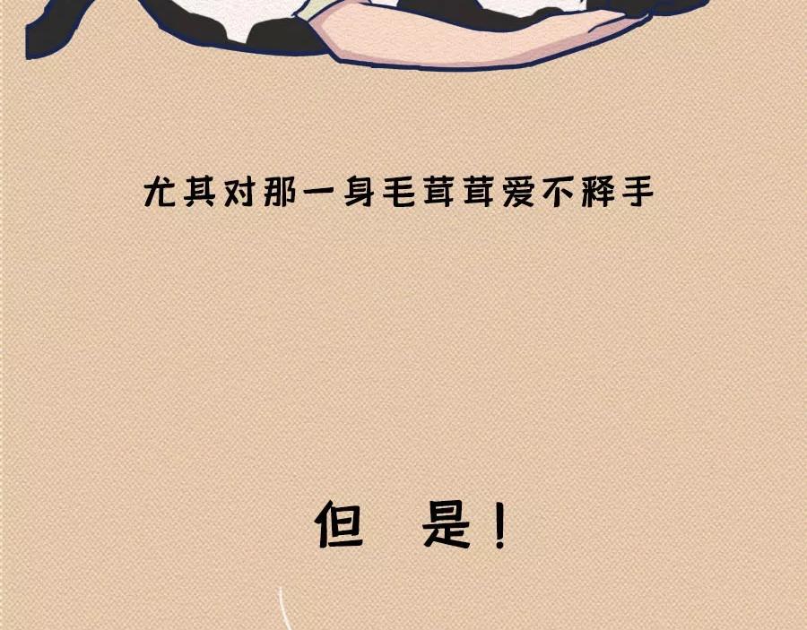 第17话：我们为什么沉迷撸猫？(1/2)-第17话