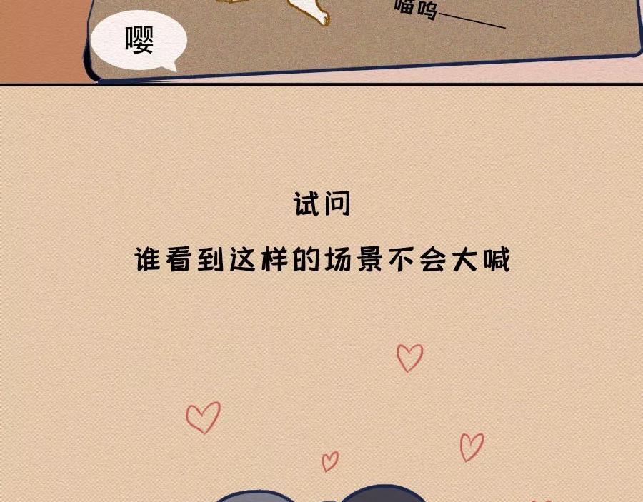 第17话：我们为什么沉迷撸猫？(1/2)-第17话
