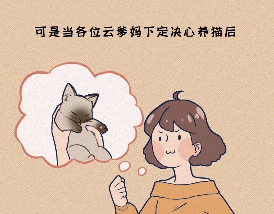 第17话：我们为什么沉迷撸猫？(1/2)-第17话