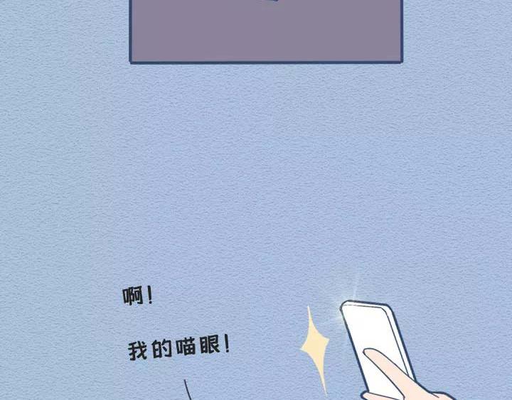 第19话：有些猫撸着撸着就没了(1/2)-第19话