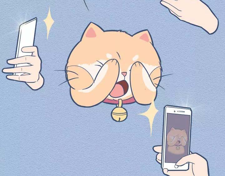 第19话：有些猫撸着撸着就没了(1/2)-第19话