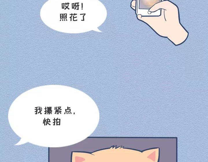 第19话：有些猫撸着撸着就没了(1/2)-第19话