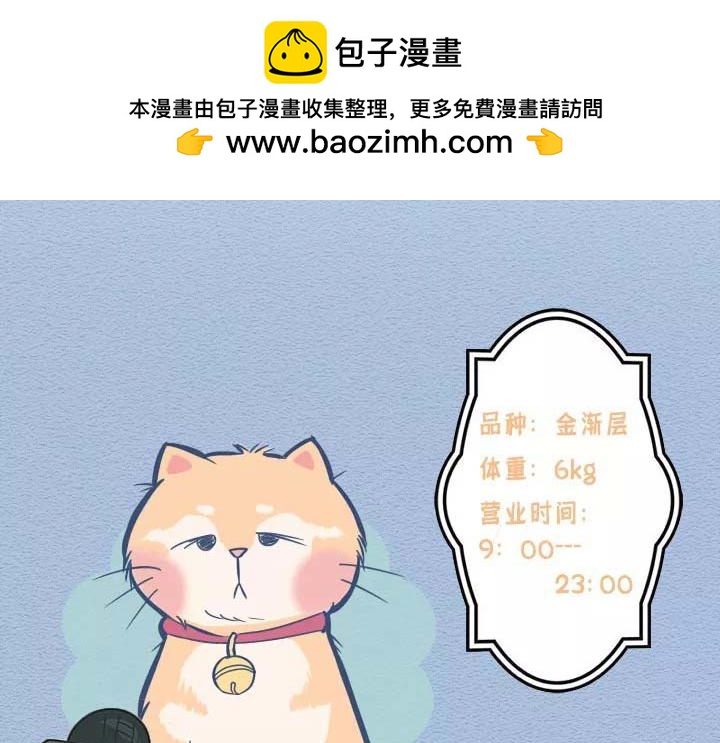 第19话：有些猫撸着撸着就没了(1/2)-第19话
