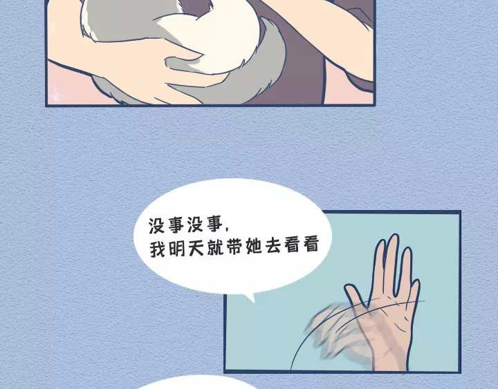 第19话：有些猫撸着撸着就没了(1/2)-第19话