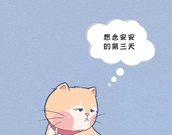 第19话：有些猫撸着撸着就没了(1/2)-第19话