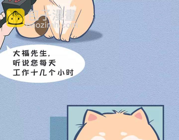第19话：有些猫撸着撸着就没了(1/2)-第19话