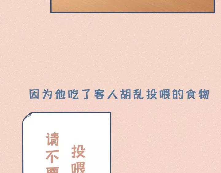 第19话：有些猫撸着撸着就没了(1/2)-第19话