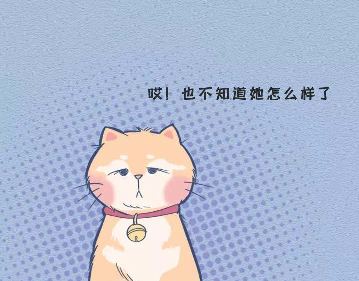 第19话：有些猫撸着撸着就没了(1/2)-第19话
