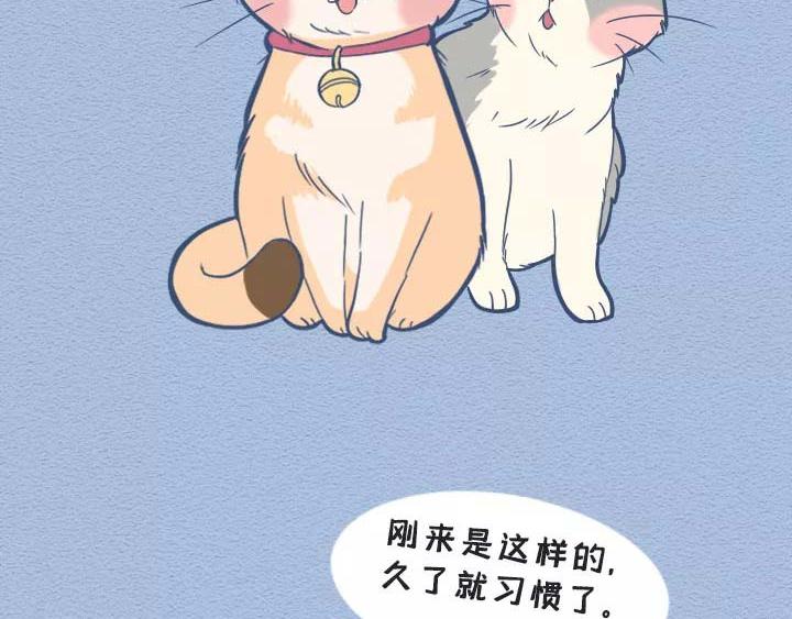 第19话：有些猫撸着撸着就没了(1/2)-第19话