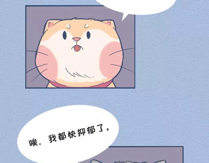 第19话：有些猫撸着撸着就没了(1/2)-第19话