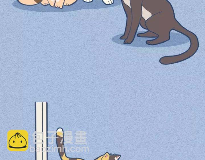 第19话：有些猫撸着撸着就没了(1/2)-第19话