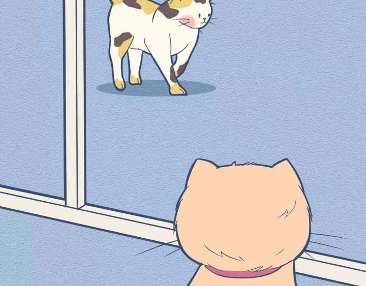 第19话：有些猫撸着撸着就没了(1/2)-第19话