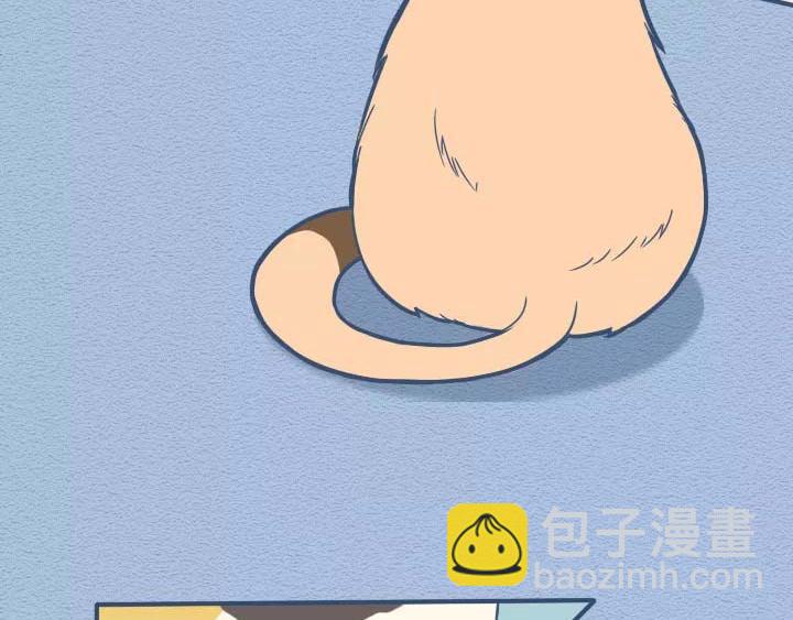 第19话：有些猫撸着撸着就没了(1/2)-第19话