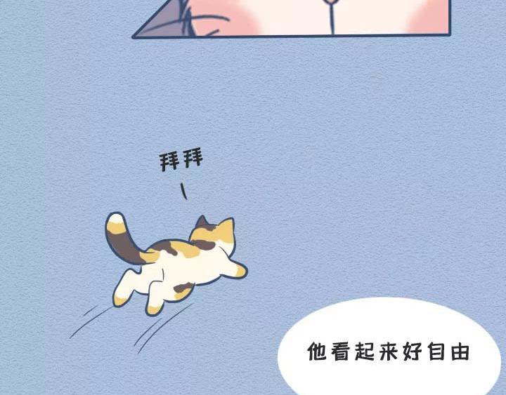 第19话：有些猫撸着撸着就没了(1/2)-第19话