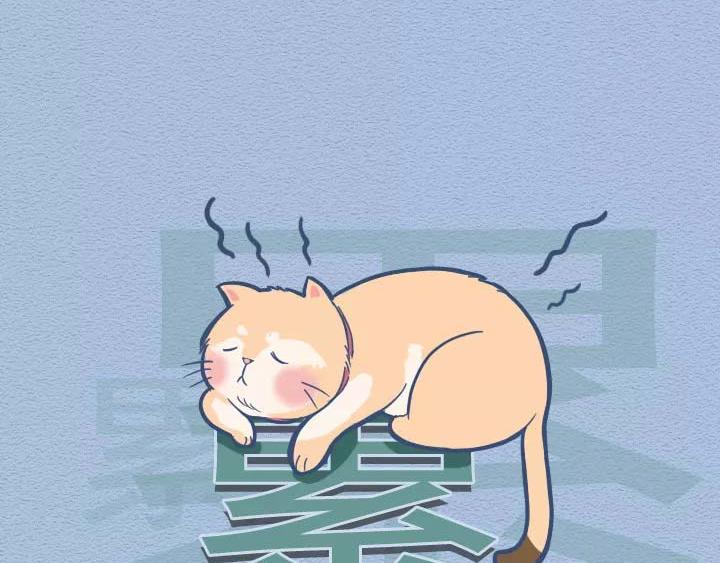 第19话：有些猫撸着撸着就没了(1/2)-第19话