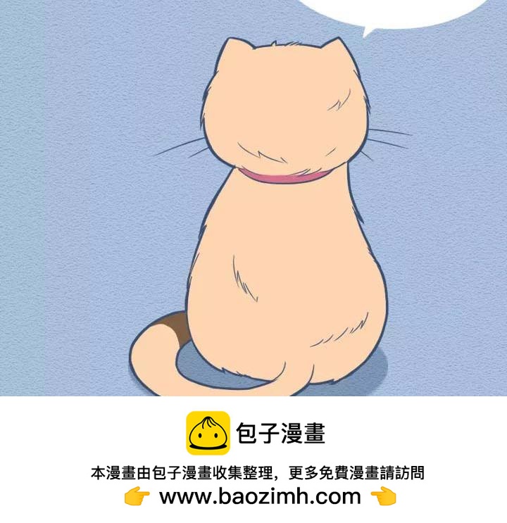 第19话：有些猫撸着撸着就没了(1/2)-第19话