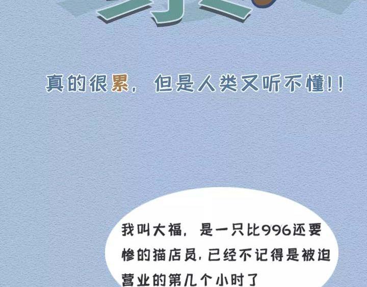 第19话：有些猫撸着撸着就没了(1/2)-第19话