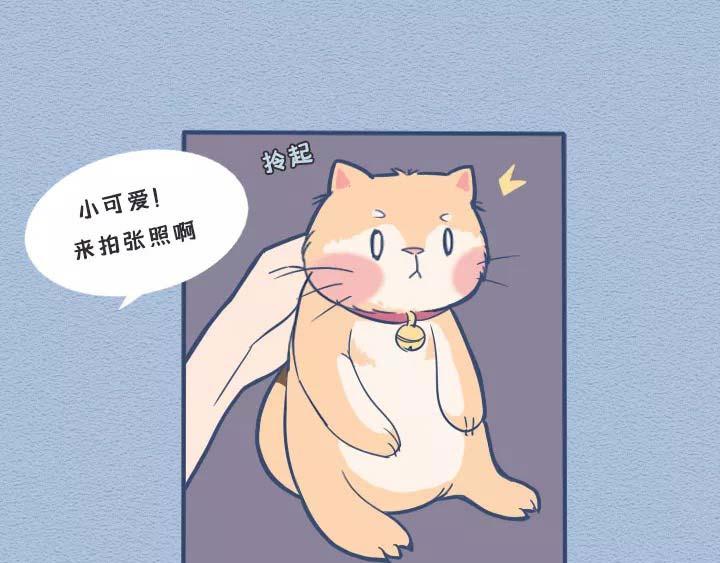 第19话：有些猫撸着撸着就没了(1/2)-第19话