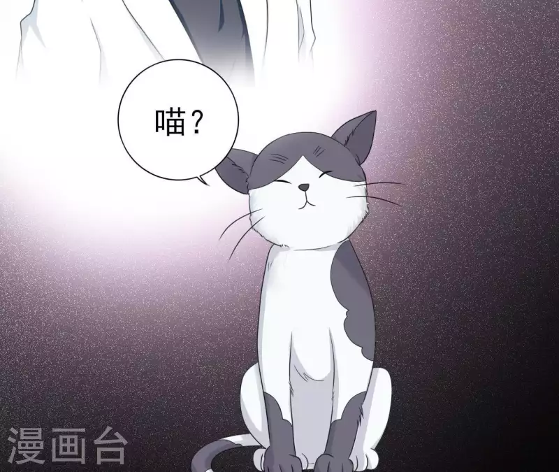 🍵不能恋爱的秘密 第79话 李嘉尚被甩啦？ 第39页