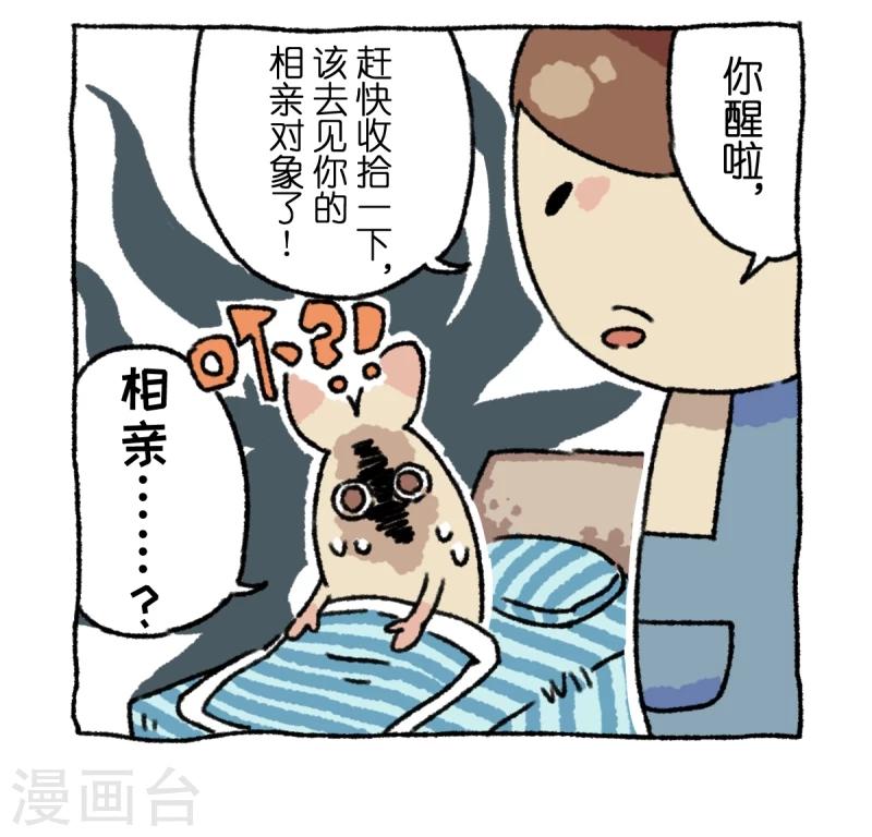 第3话 相亲-第3话