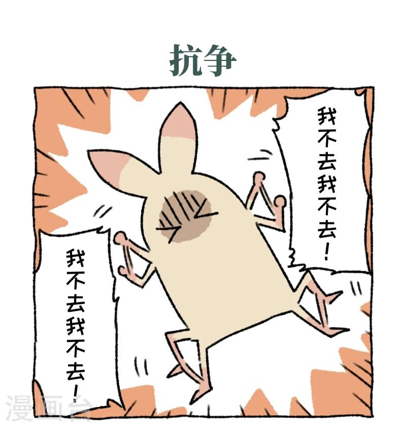 第3话 相亲-第3话