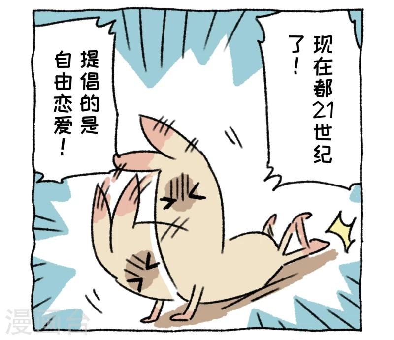 第3话 相亲-第3话