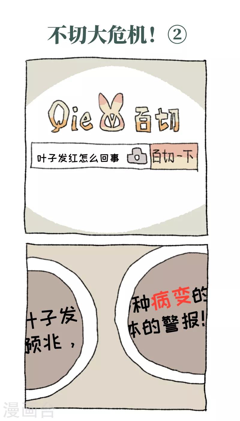 第31话 不切大危机-第31话