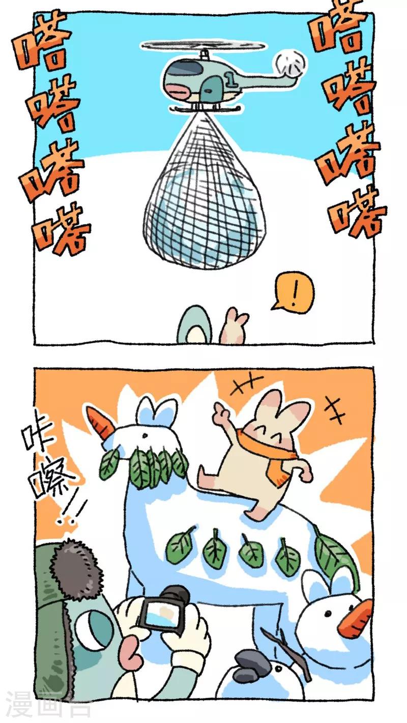 第49话 南方的雪-第49话