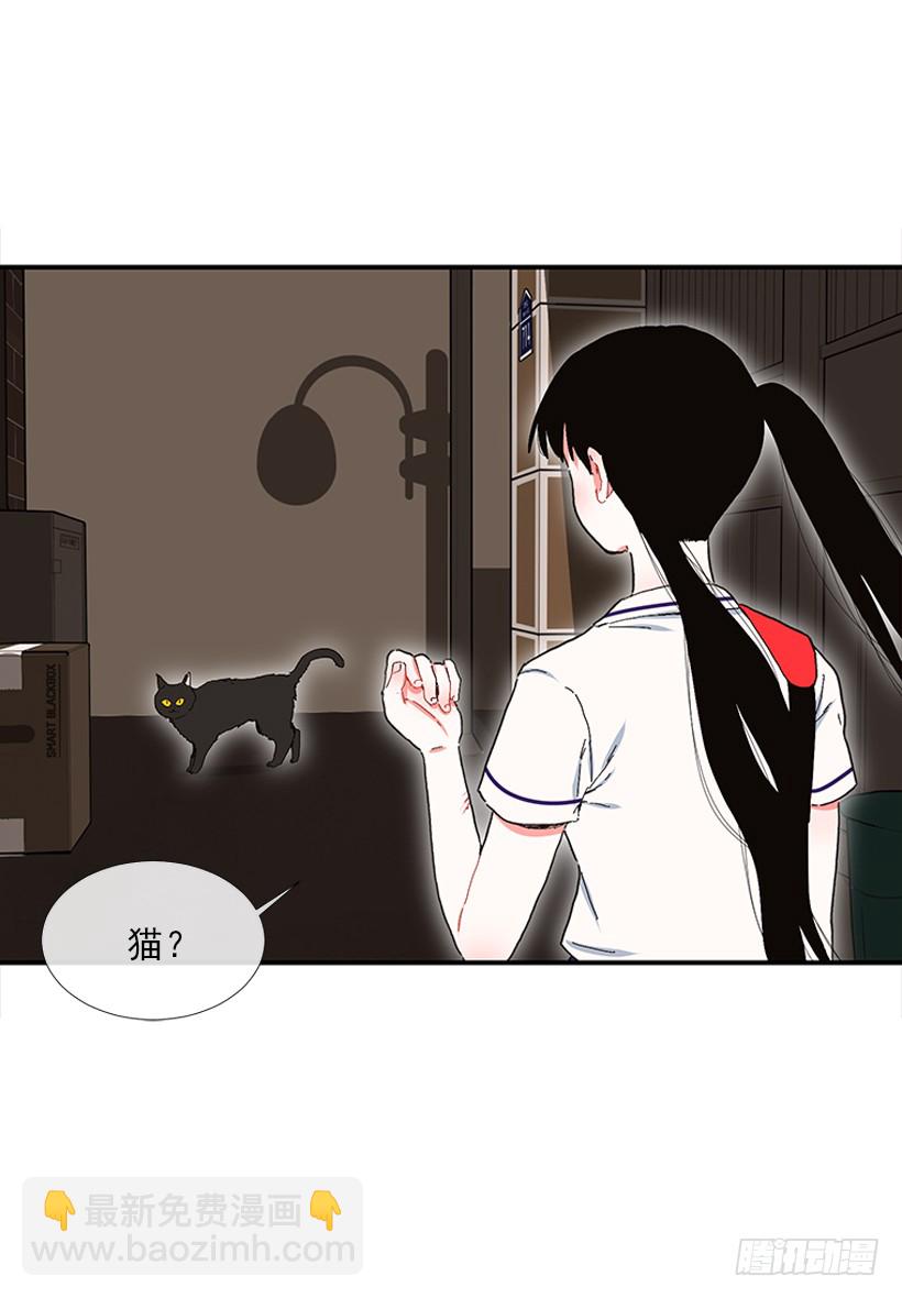 103.撸猫-第103话