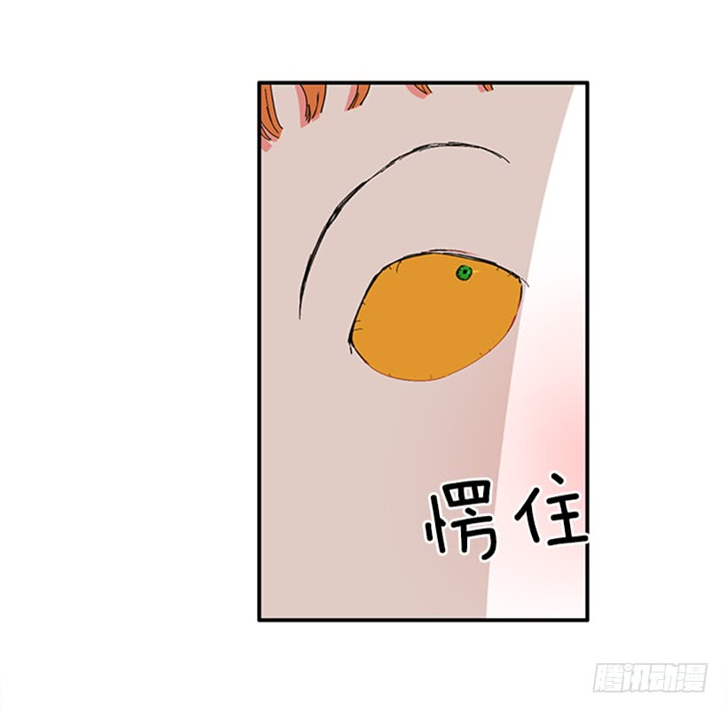 119.挑战-第119话