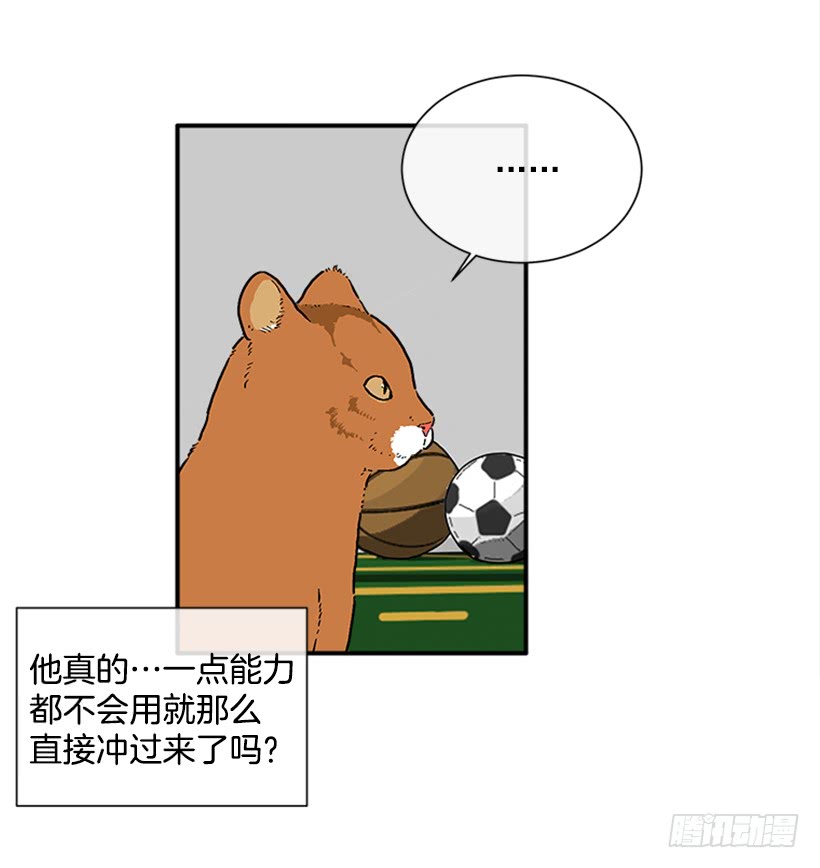 138.保护您到最后-第137话