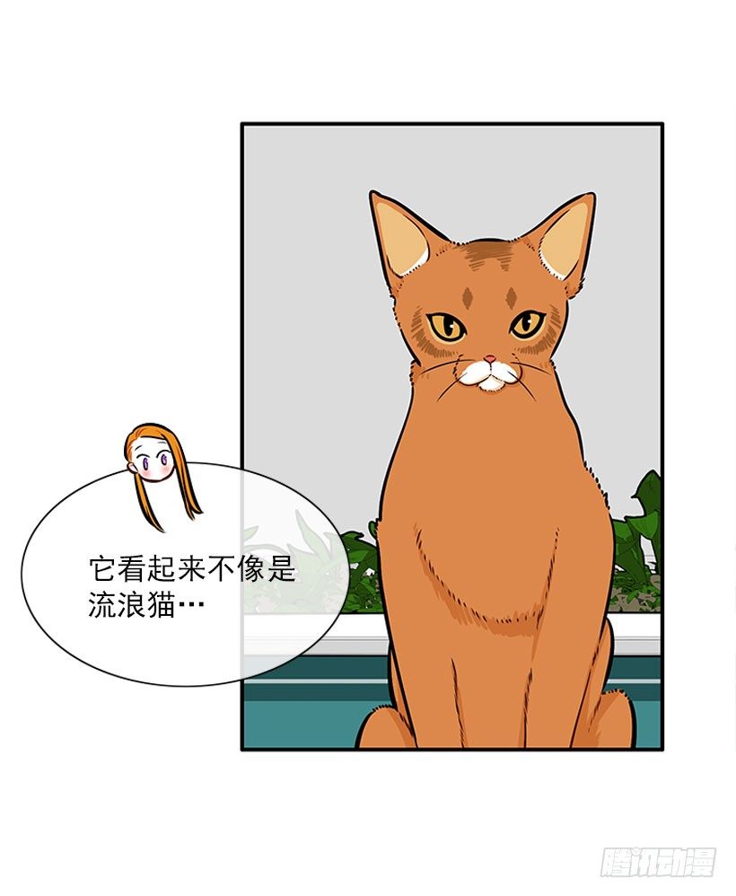 委屈-第25话