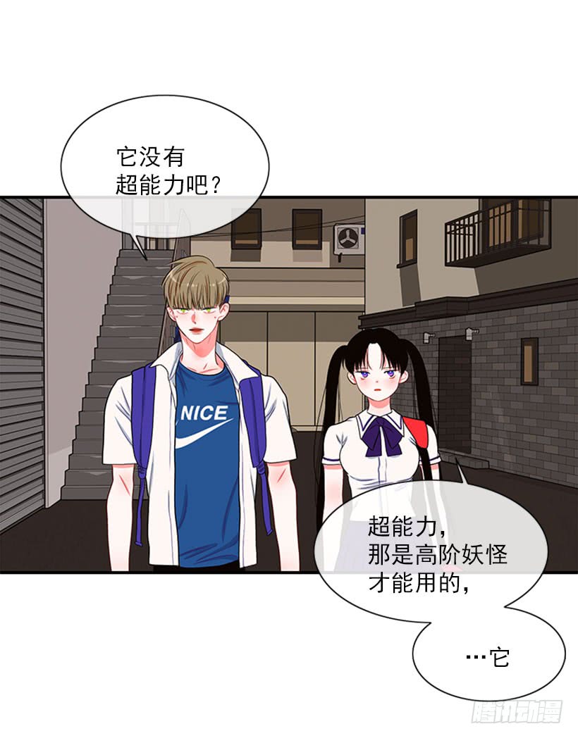 我的猫崽-第45话