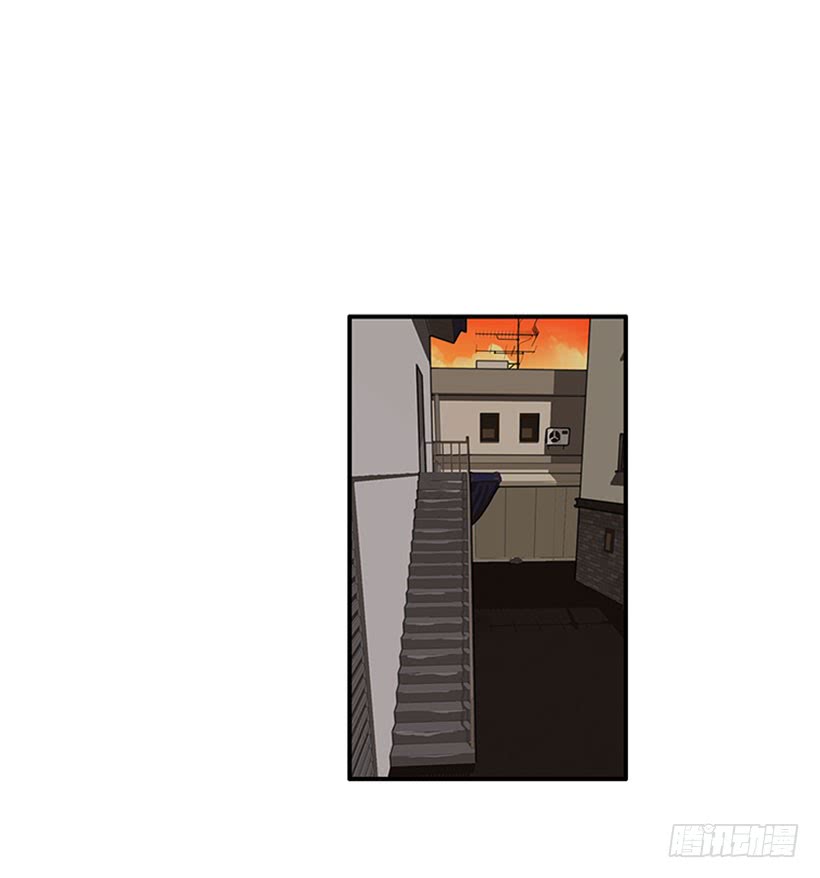 我的猫崽-第45话