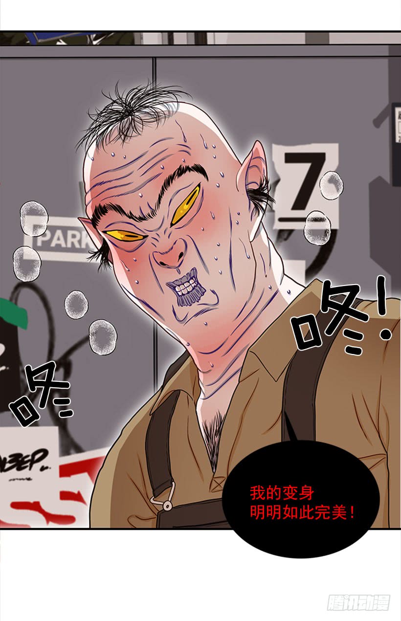 我的猫崽-第45话