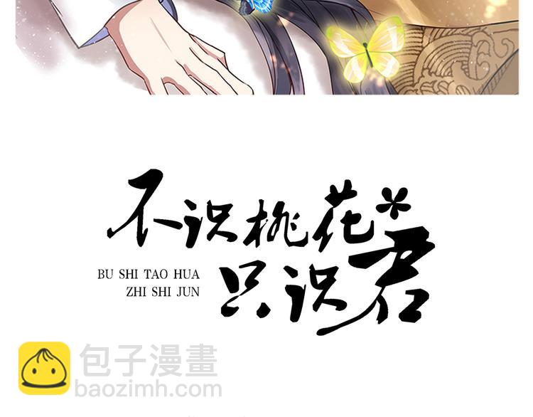 🍵不识桃花只识君 第250话 沈秋也一起去西厥吧 第2页