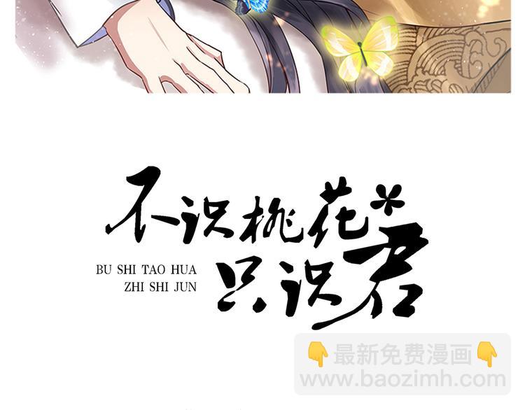 🍵不识桃花只识君 第252话 刚出狼穴，又入虎口 第2页