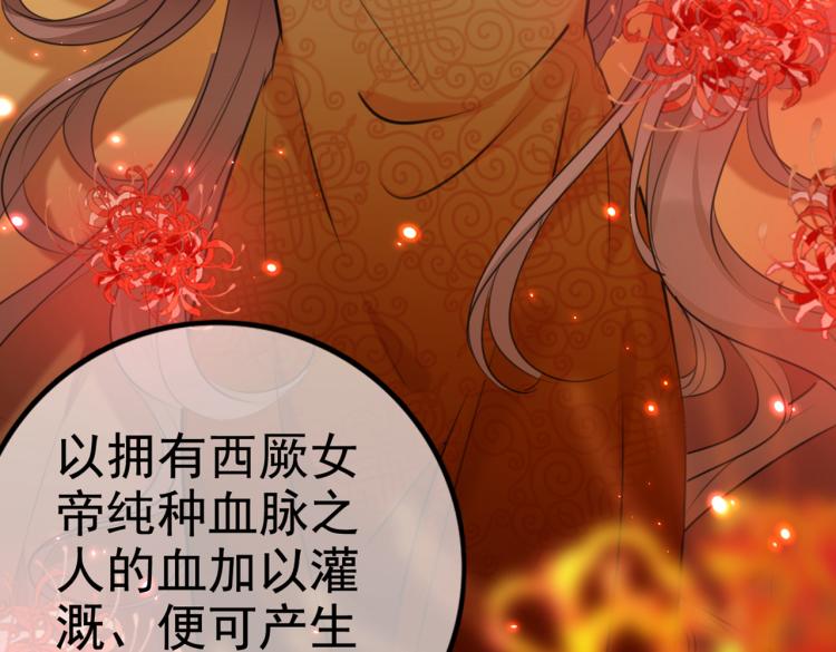 🍵不识桃花只识君 第314话 用你的血复活沐心 第40页