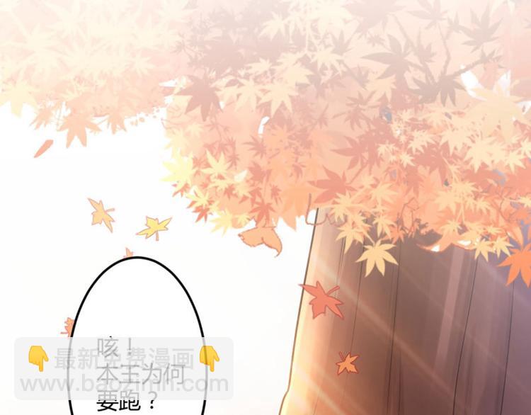 🍵不识桃花只识君 第32话 他又救了我一次 第11页