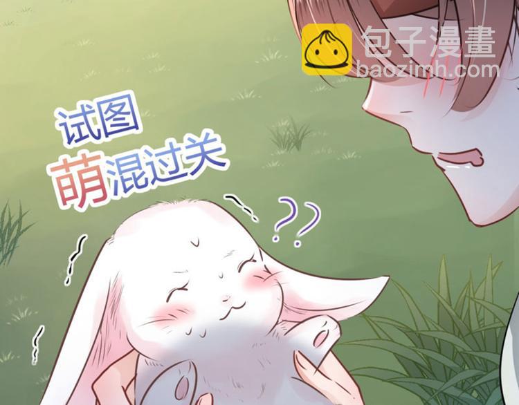 🍵不识桃花只识君 第38话 撸兔子 第22页