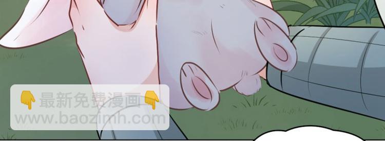 🍵不识桃花只识君 第38话 撸兔子 第23页