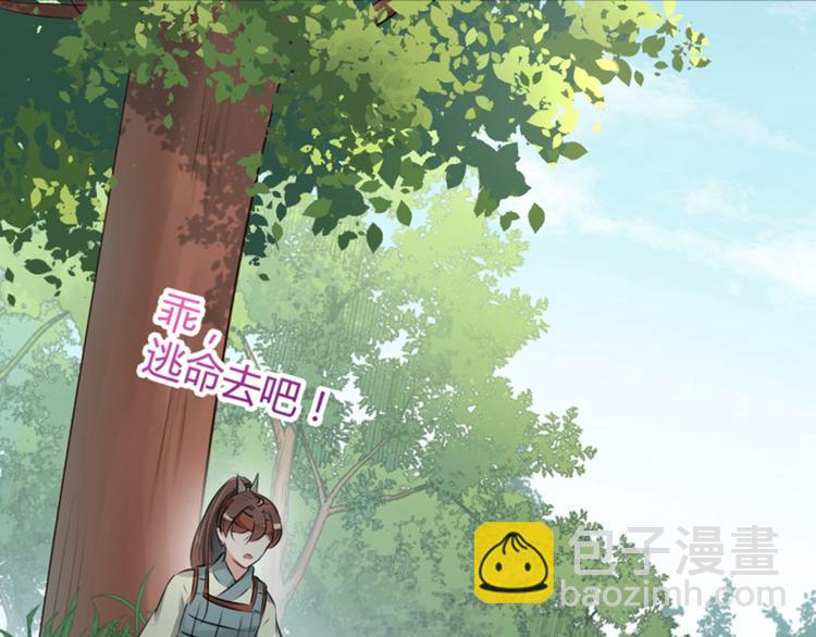 🍵不识桃花只识君 第38话 撸兔子 第30页