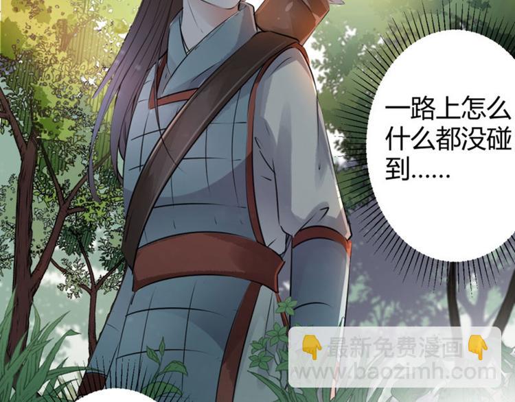 🍵不识桃花只识君 第38话 撸兔子 第38页