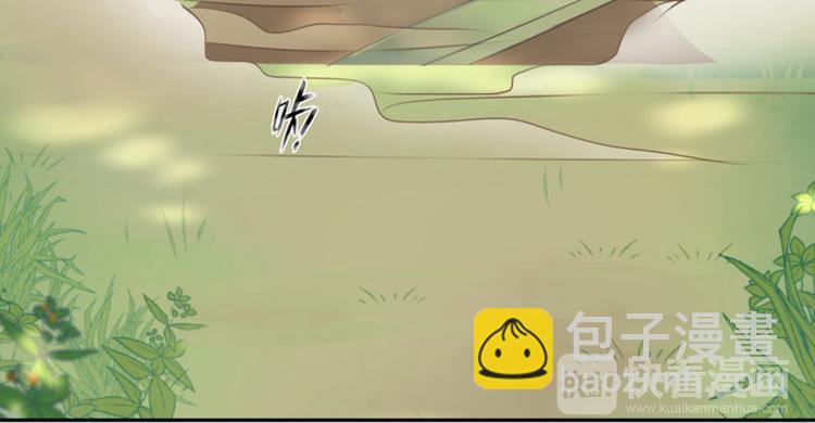 🍵不识桃花只识君 第40话 坠落 第36页