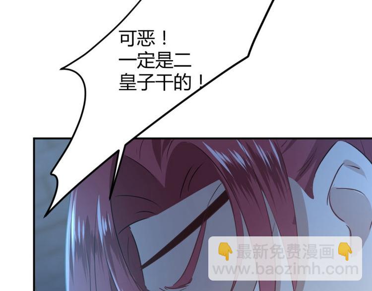 🍵不识桃花只识君 第56话 柳清风VS安定王 第14页