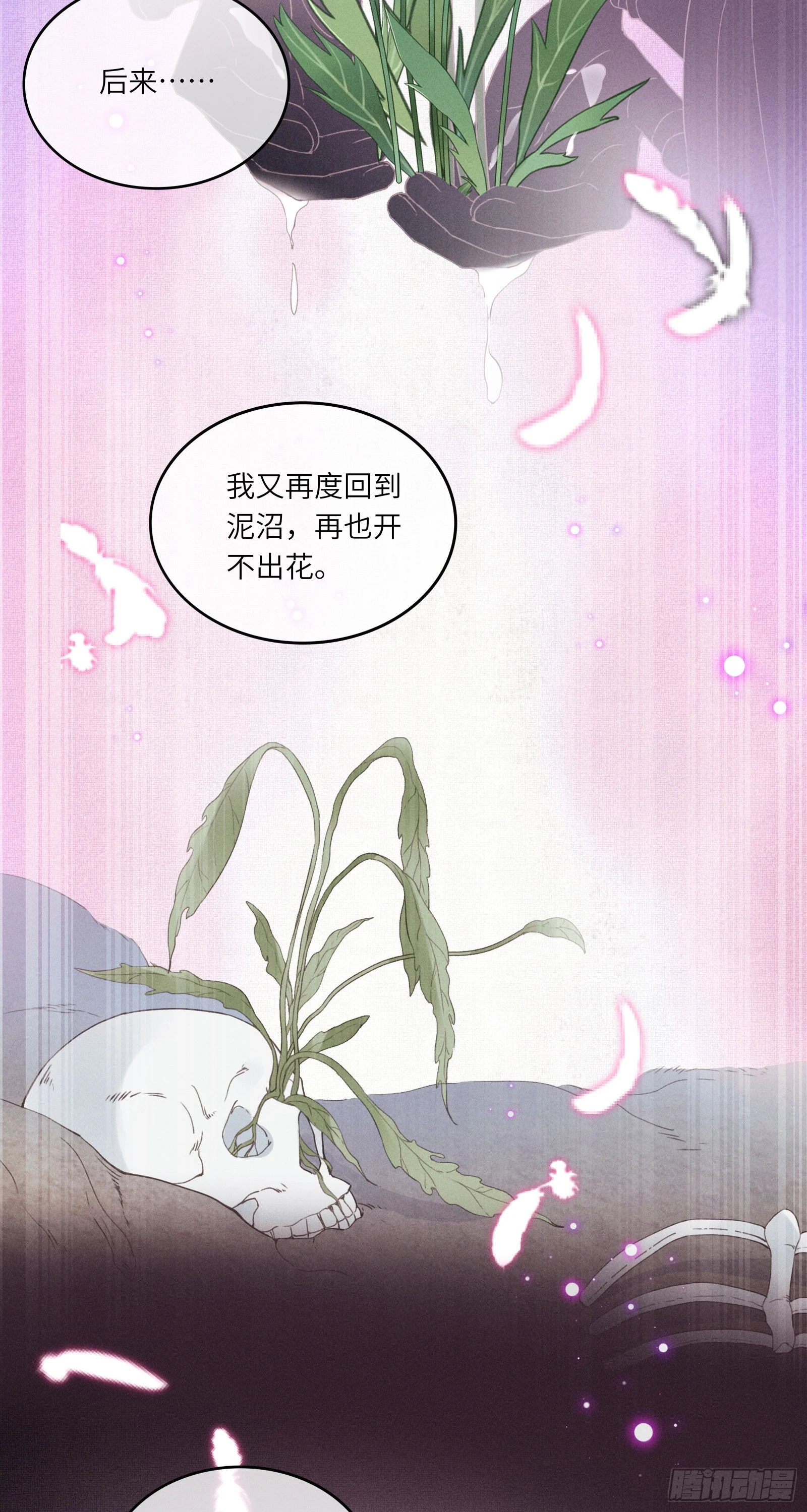 第六十一话 赏花-第63话
