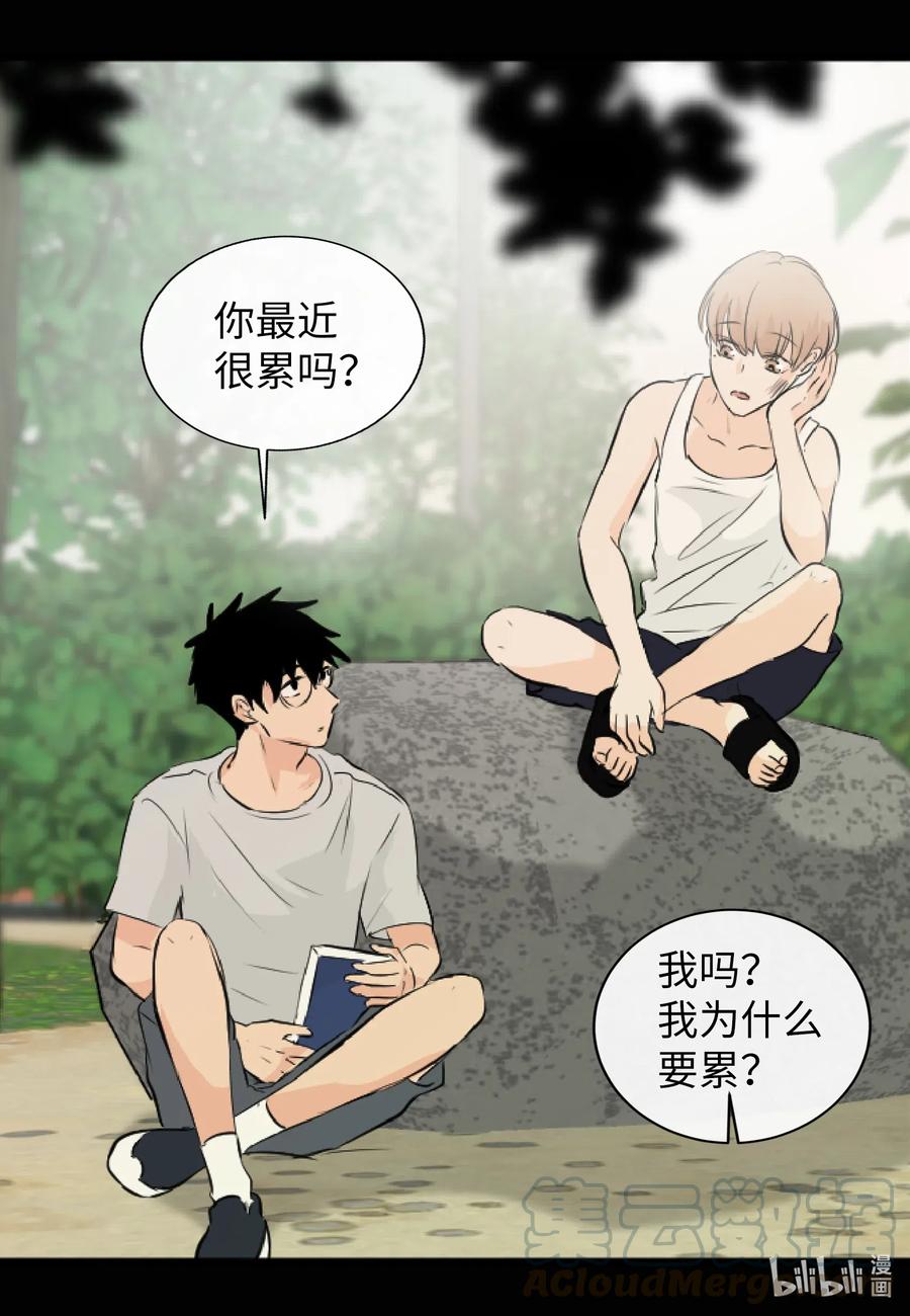 39 昆虫日记(1/2)-第39话