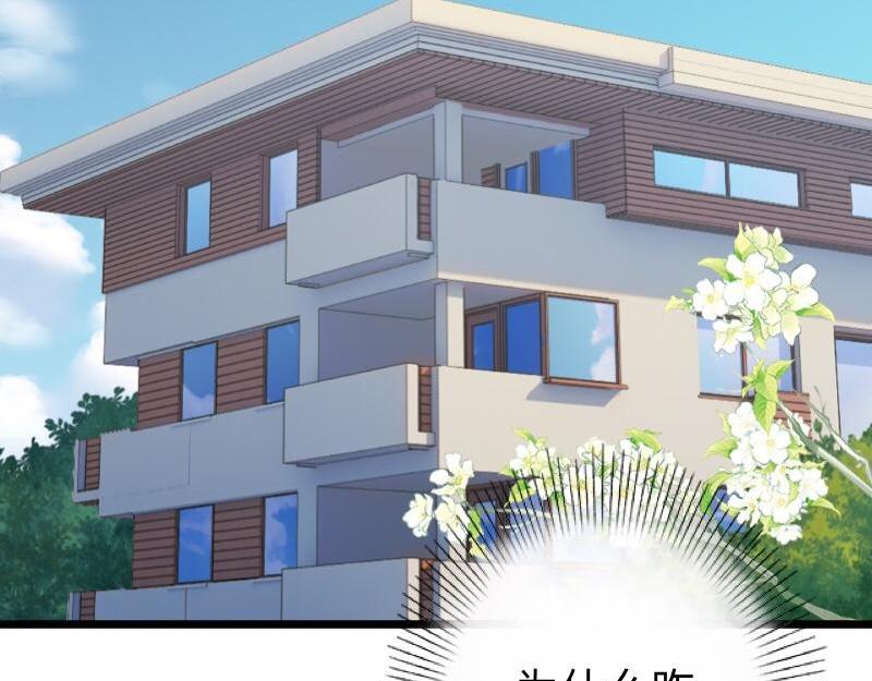 第19话 迎接傻蛋们崇拜的目光(1/3)-第19话